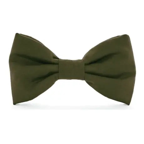 Olive Dog Bow Tie - Standard