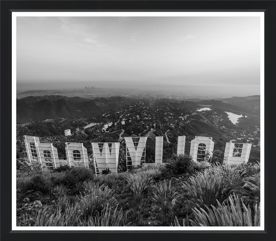 Hollywood Sign (31x27) - Design for the PPL
