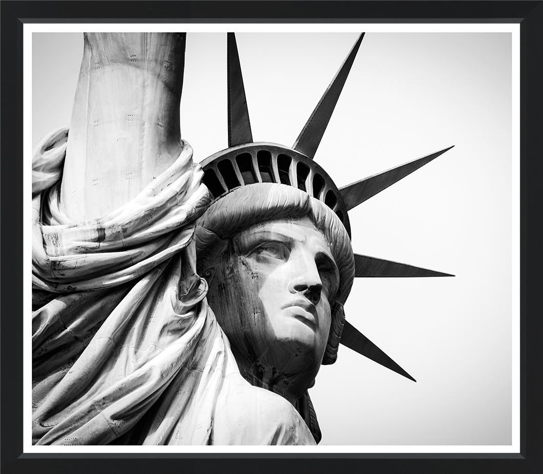 Lady Liberty Close Up (24x20) - Design for the PPL