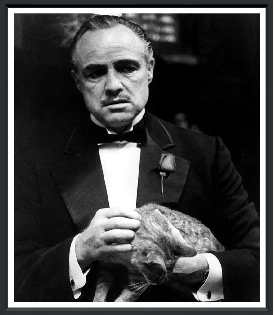 The Godfather (26x30) - Design for the PPL